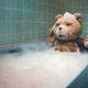 Image for article titled Ted